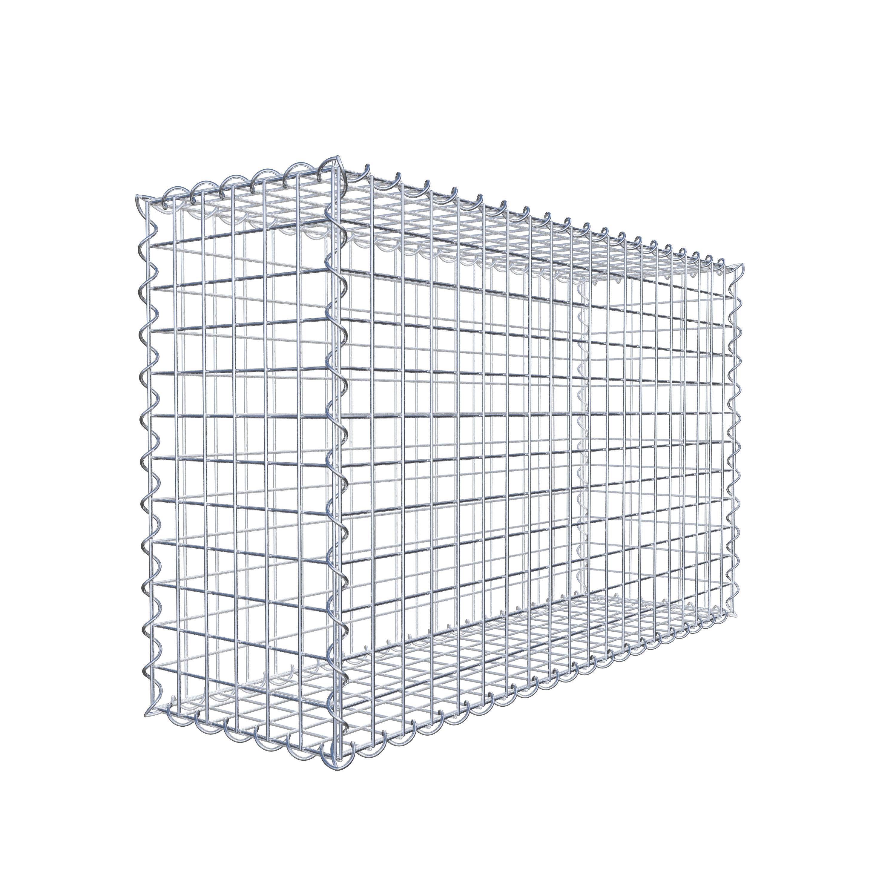 Gabbione 100 cm x 60 cm x 30 cm (L x H x P), maglia 5 cm x 5 cm, spirale