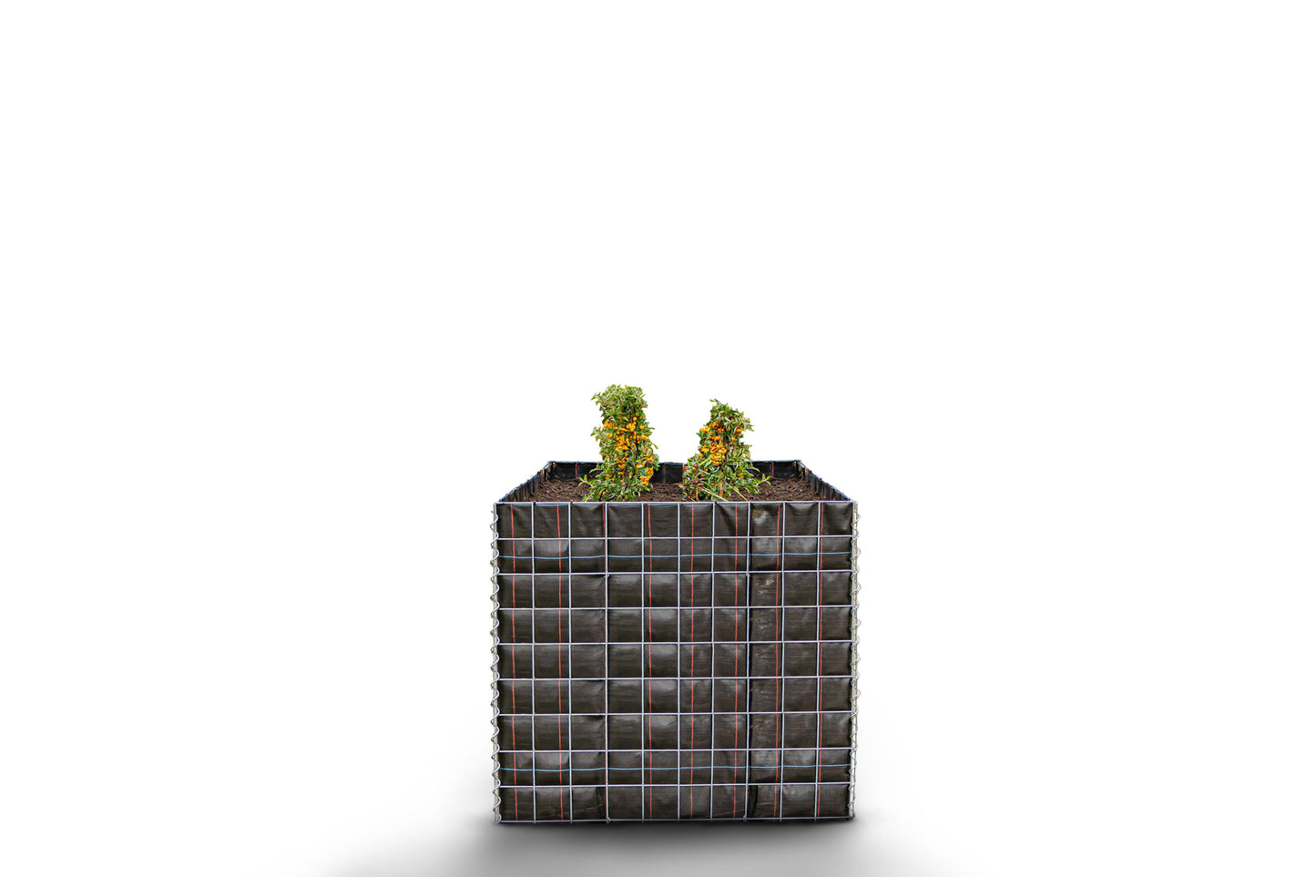 Lit surélevé carré sans zone de pierres - Longueur : 100 cm - Hauteur : 90 cm - Profondeur : 100 cm - Largeur des mailles : 10 x 10 cm