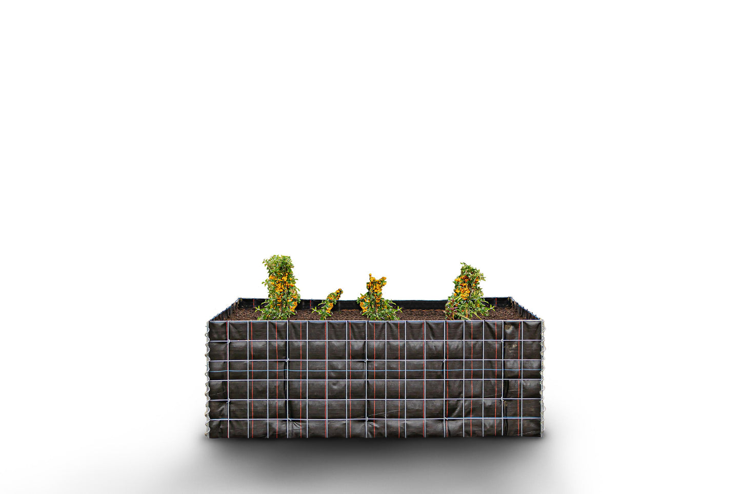 Högbädd, fyrkantig utan stenområde - Längd: 170 cm - Höjd: 60 cm - Djup: 60 cm - Maskstorlek: 10 x 10 cm