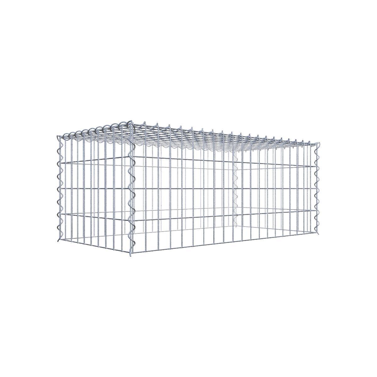 Gabione 05x10 100x040x050 Typ3 Spiral