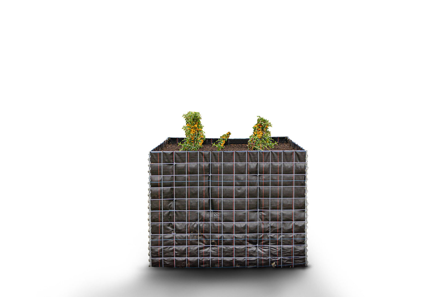 Lecho elevado rectangular sin zona de piedras - Longitud: 130 cm - Altura: 100 cm - Profundidad: 80 cm - Luz de malla: 10 x 10 cm