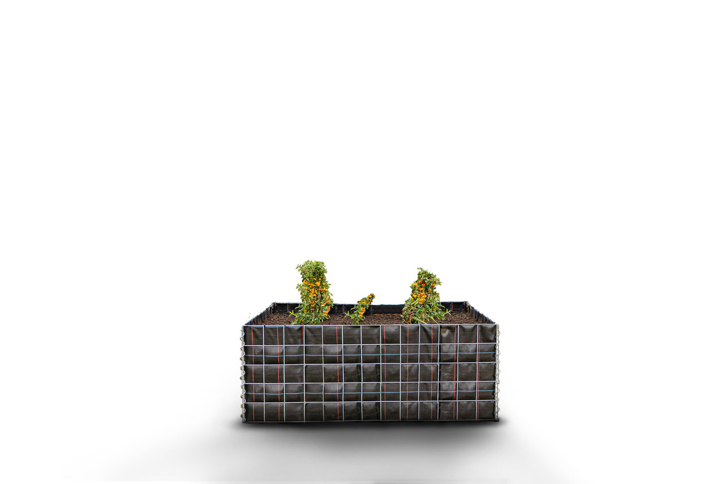 Lecho elevado rectangular sin zona de piedras - Longitud: 130 cm - Altura: 50 cm - Profundidad: 80 cm - Luz de malla: 10 x 10 cm
