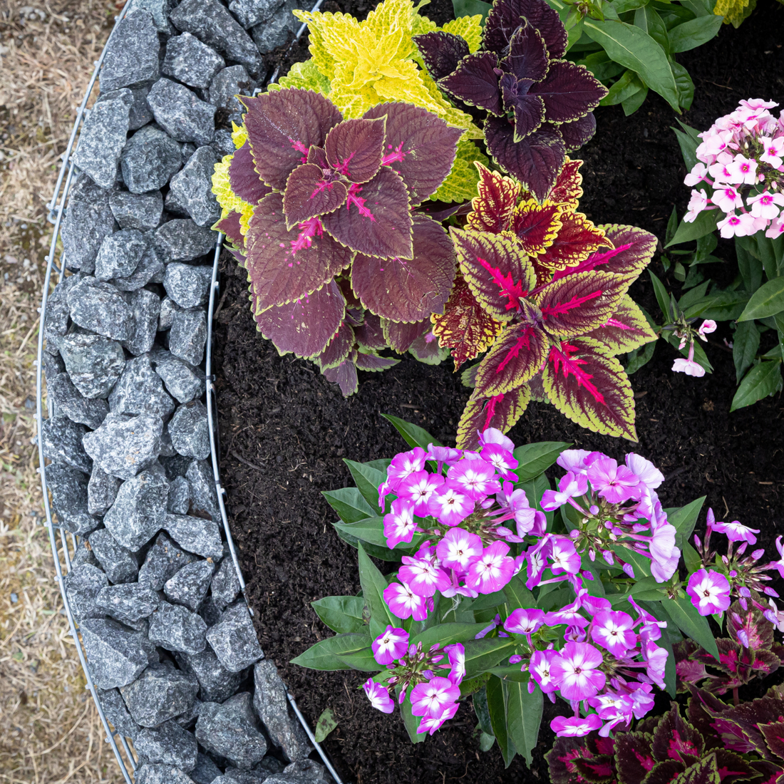 Runde Gabionen-Hochbeete online bestellen: Fit für die neue Gartensaison