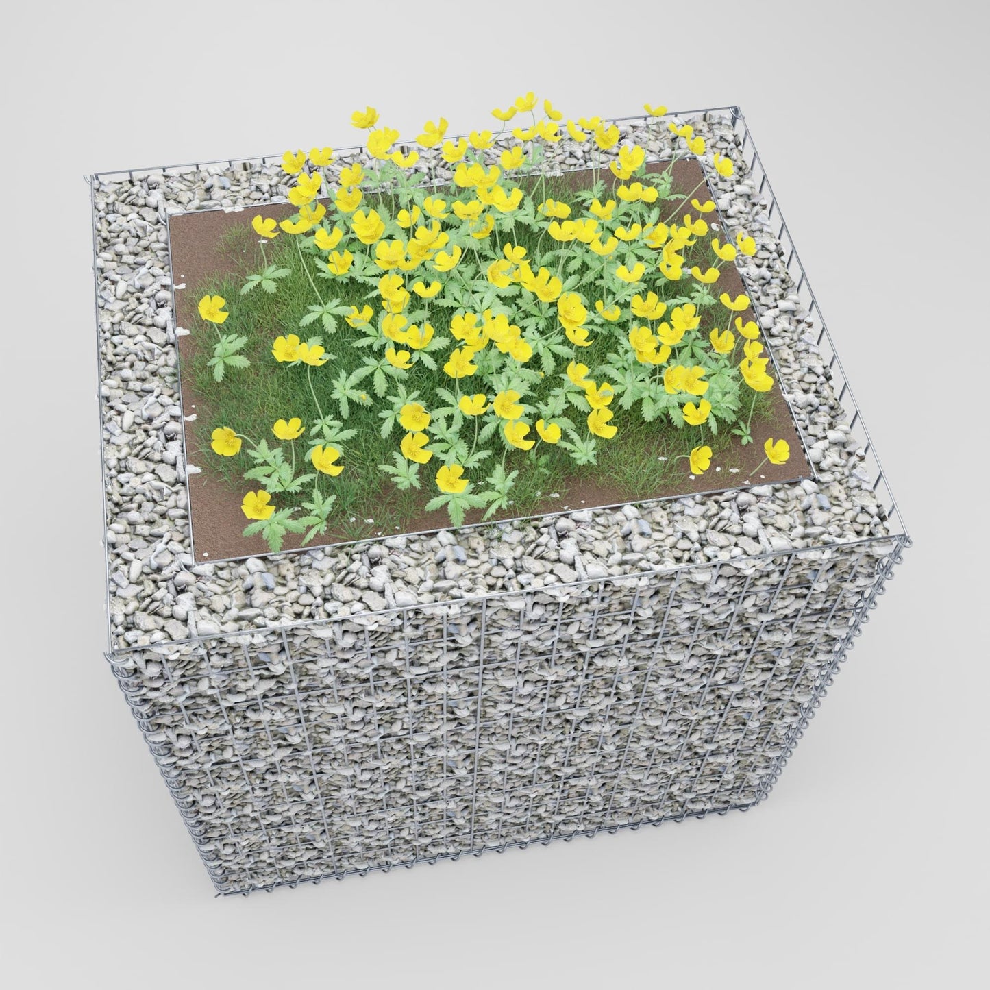 Lecho elevado rectangular 100 cm x 100 cm x 80 cm (largo x alto x fondo), malla 5 x 10 cm, espesor de pared 10 cm