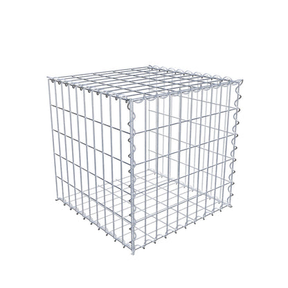 Grown-on gabion type 2 50 cm x 50 cm x 50 cm (L x H x D), mesh size 5 cm x 10 cm, spiral