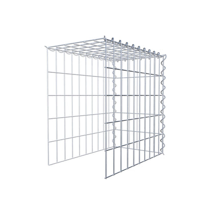 Opvokset gabion type 4 50 cm x 50 cm x 30 cm (L x H x D), maskestørrelse 5 cm x 10 cm, spiral