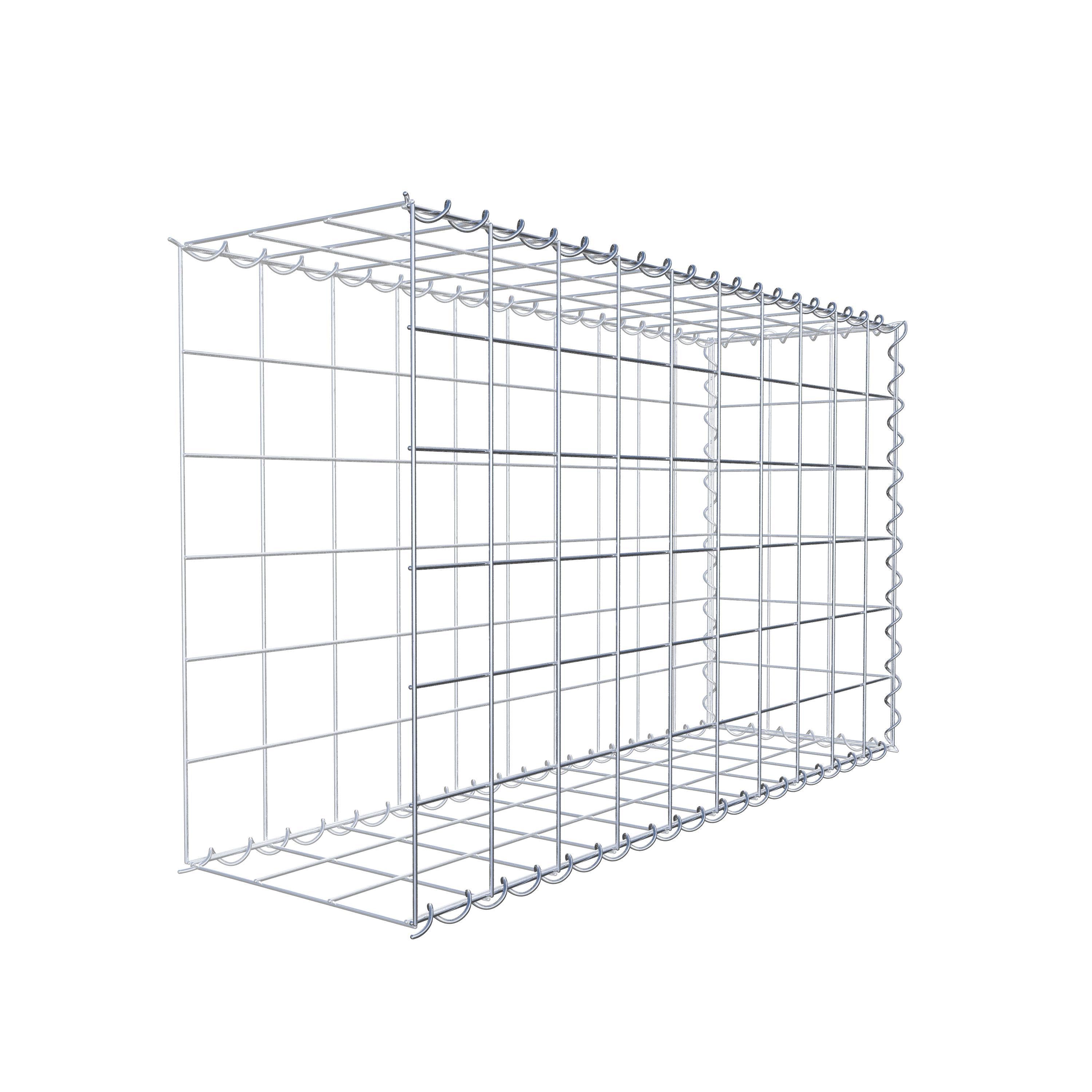 Opvokset gabion type 2 100 cm x 60 cm x 30 cm (L x H x D), maskestørrelse 10 cm x 10 cm, spiral