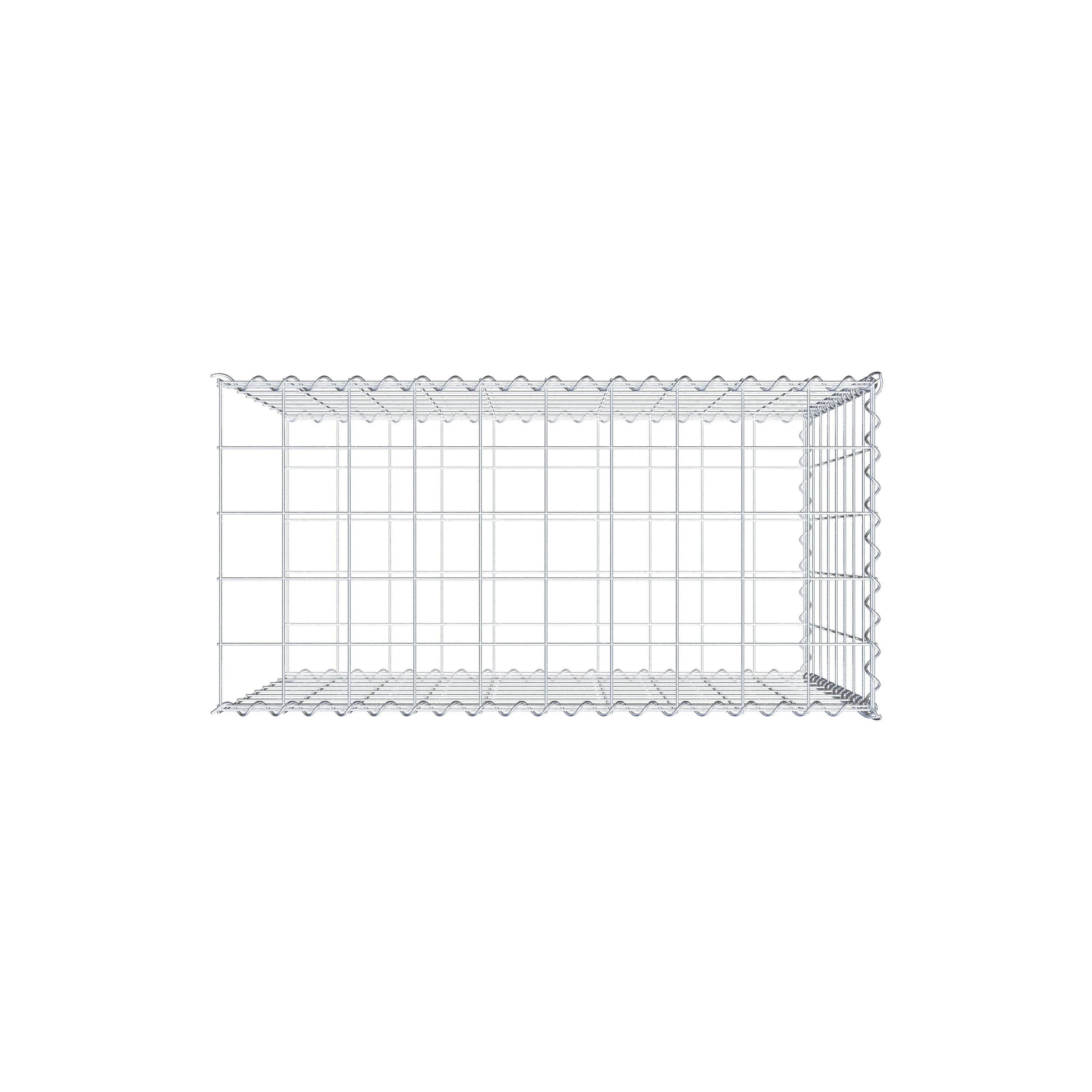 Grown-on gabion type 2 100 cm x 80 cm x 50 cm (L x H x D), mesh size 10 cm x 10 cm, spiral