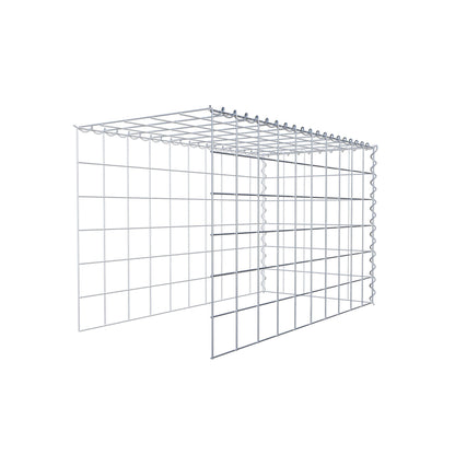 Grown-on gabion type 4 100 cm x 60 cm x 50 cm (L x H x D), mesh size 10 cm x 10 cm, spiral
