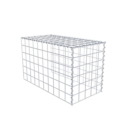 Grown-on gabion type 4 100 cm x 60 cm x 50 cm (L x H x D), mesh size 10 cm x 10 cm, spiral