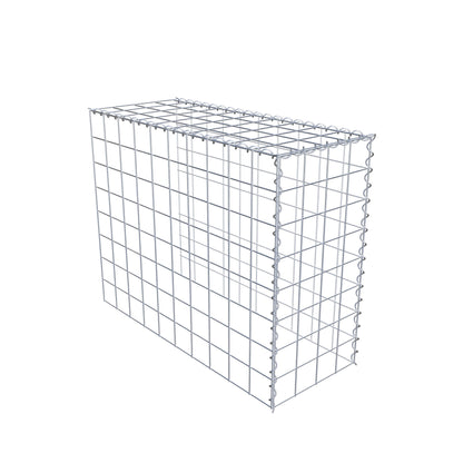 Grown-on gabion type 4 100 cm x 80 cm x 40 cm (L x H x D), mesh size 10 cm x 10 cm, spiral