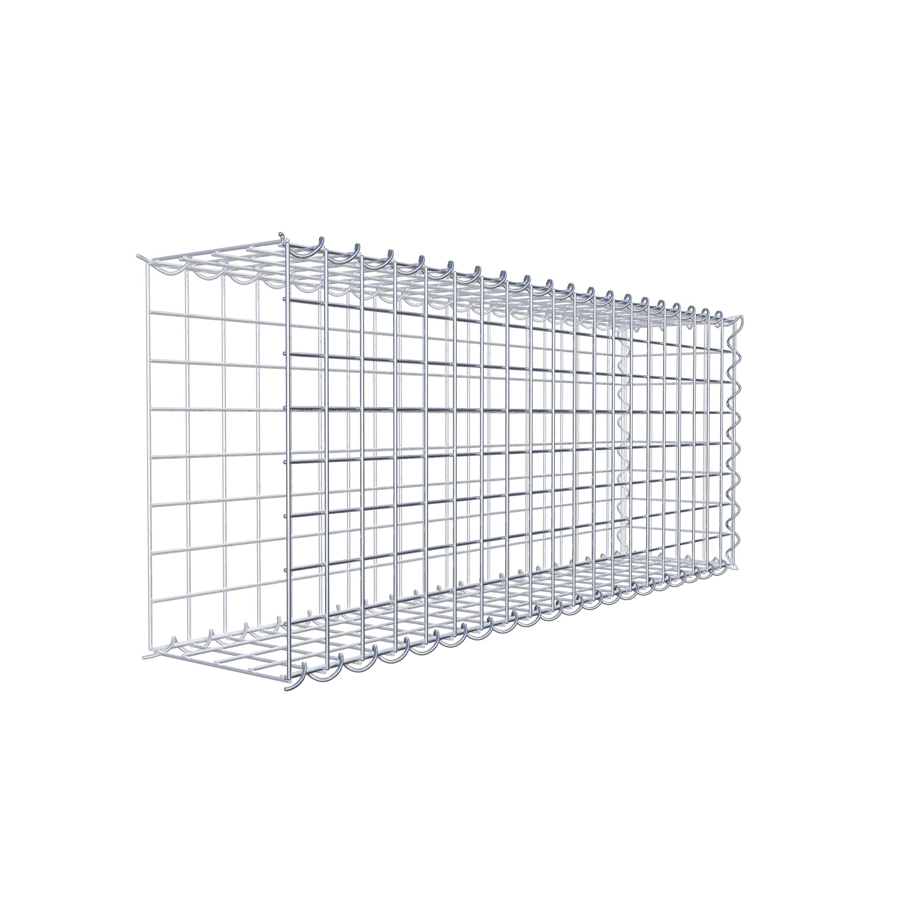 Grown-on gabion type 2 100 cm x 40 cm x 20 cm (L x H x D), mesh size 5 cm x 5 cm, spiral