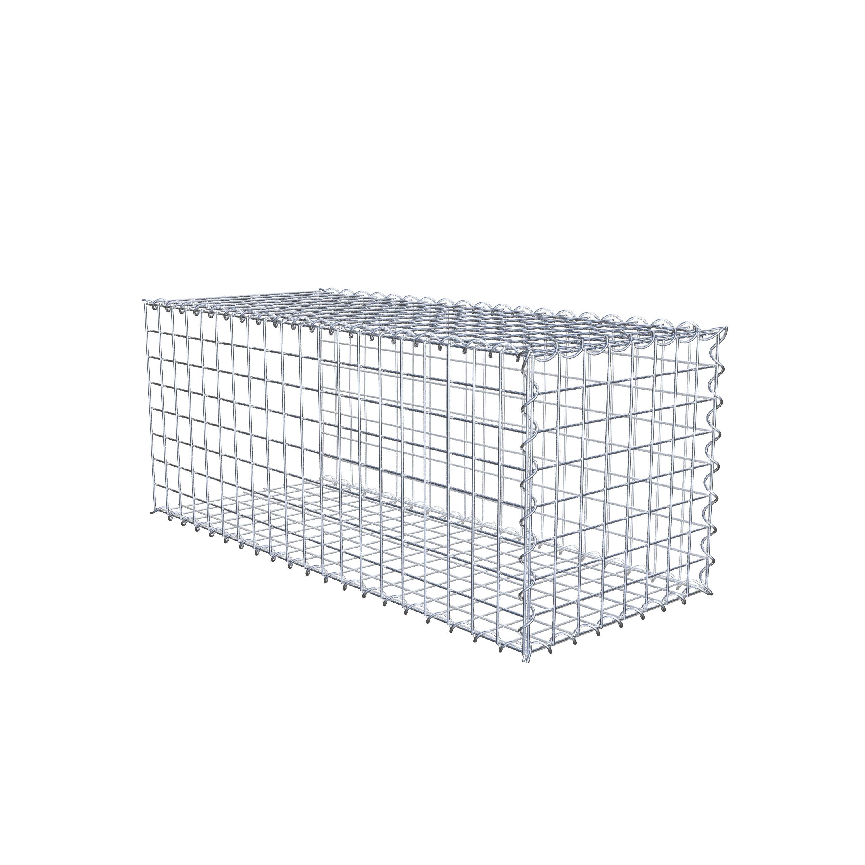 Grown-on gabion type 2 100 cm x 40 cm x 40 cm (L x H x D), mesh size 5 cm x 5 cm, spiral