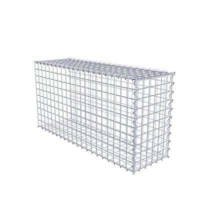 Grown-on gabion type 2 100 cm x 50 cm x 30 cm (L x H x D), mesh size 5 cm x 5 cm, spiral