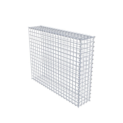 Opvokset gabion type 2 100 cm x 80 cm x 20 cm (L x H x D), maskestørrelse 5 cm x 5 cm, spiral