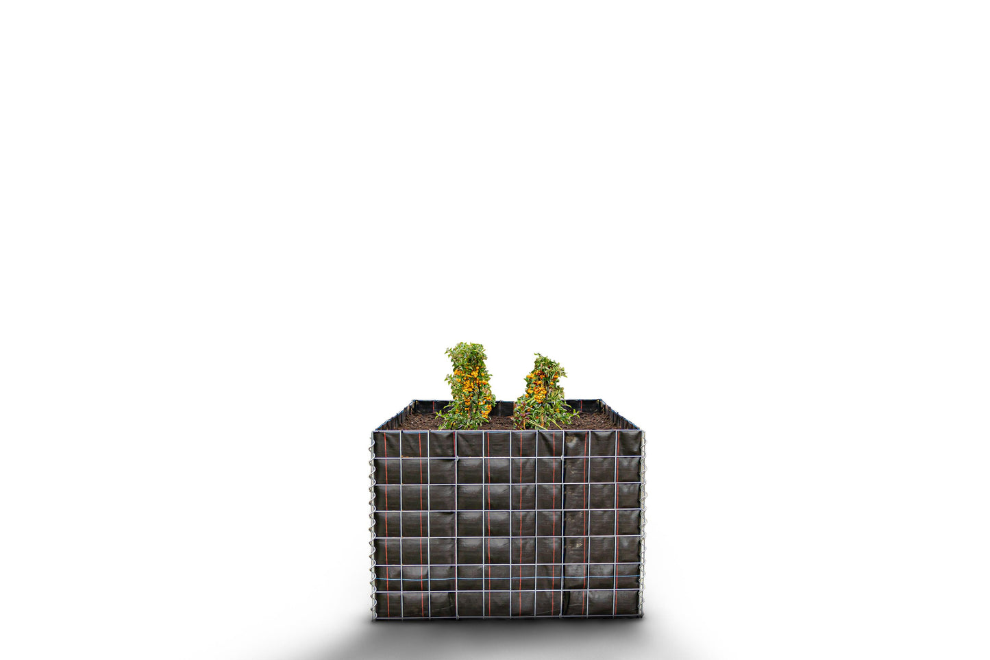 Lit surélevé carré sans zone de pierres - Longueur : 100 cm - Hauteur : 70 cm - Profondeur : 100 cm - Largeur des mailles : 10 x 10 cm