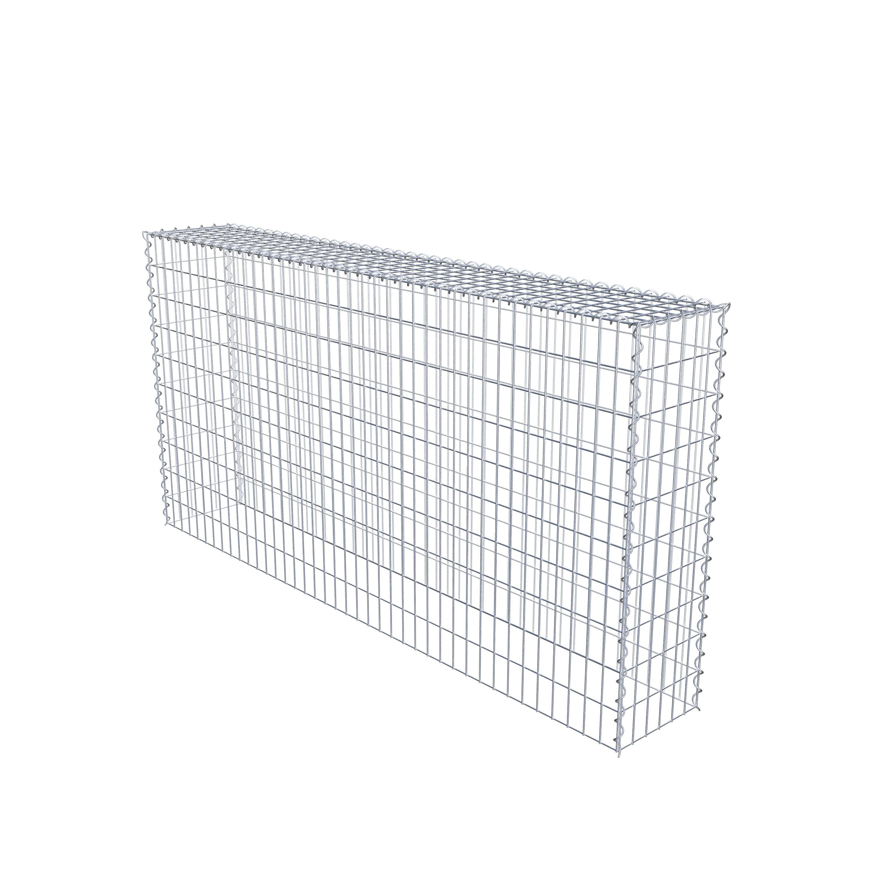 Grown-on gabion type 3 200 cm x 100 cm x 30 cm (L x H x D), mesh size 5 cm x 10 cm, spiral