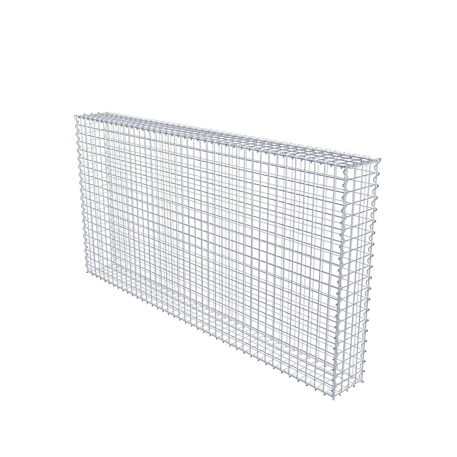 Gabbione 200 cm x 100 cm x 20 cm (L x H x P), maglia 5 cm x 5 cm, spirale