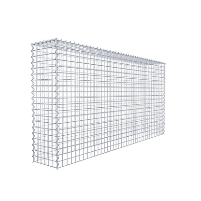 Grown-on gabion type 3 200 cm x 100 cm x 30 cm (L x H x D), mesh size 5 cm x 5 cm, spiral
