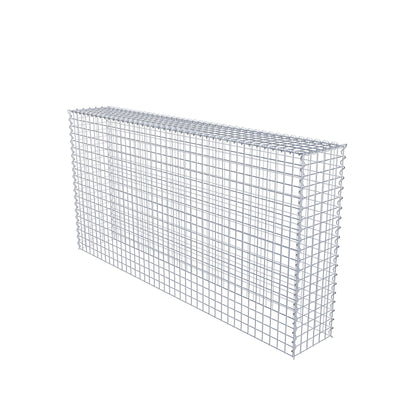 Grown-on gabion type 3 200 cm x 100 cm x 30 cm (L x H x D), mesh size 5 cm x 5 cm, spiral