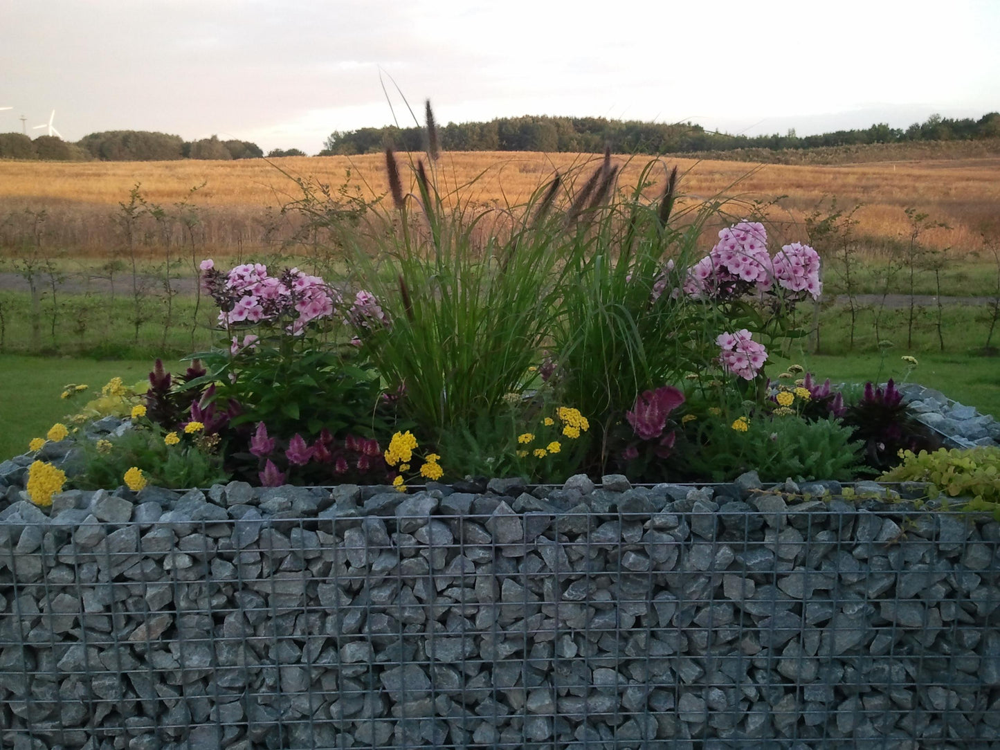 Högbädd, fyrkantig 200 cm x 100 cm x 100 cm (L x H x D), maskstorlek 5 x 5 cm, väggtjocklek 10 cm