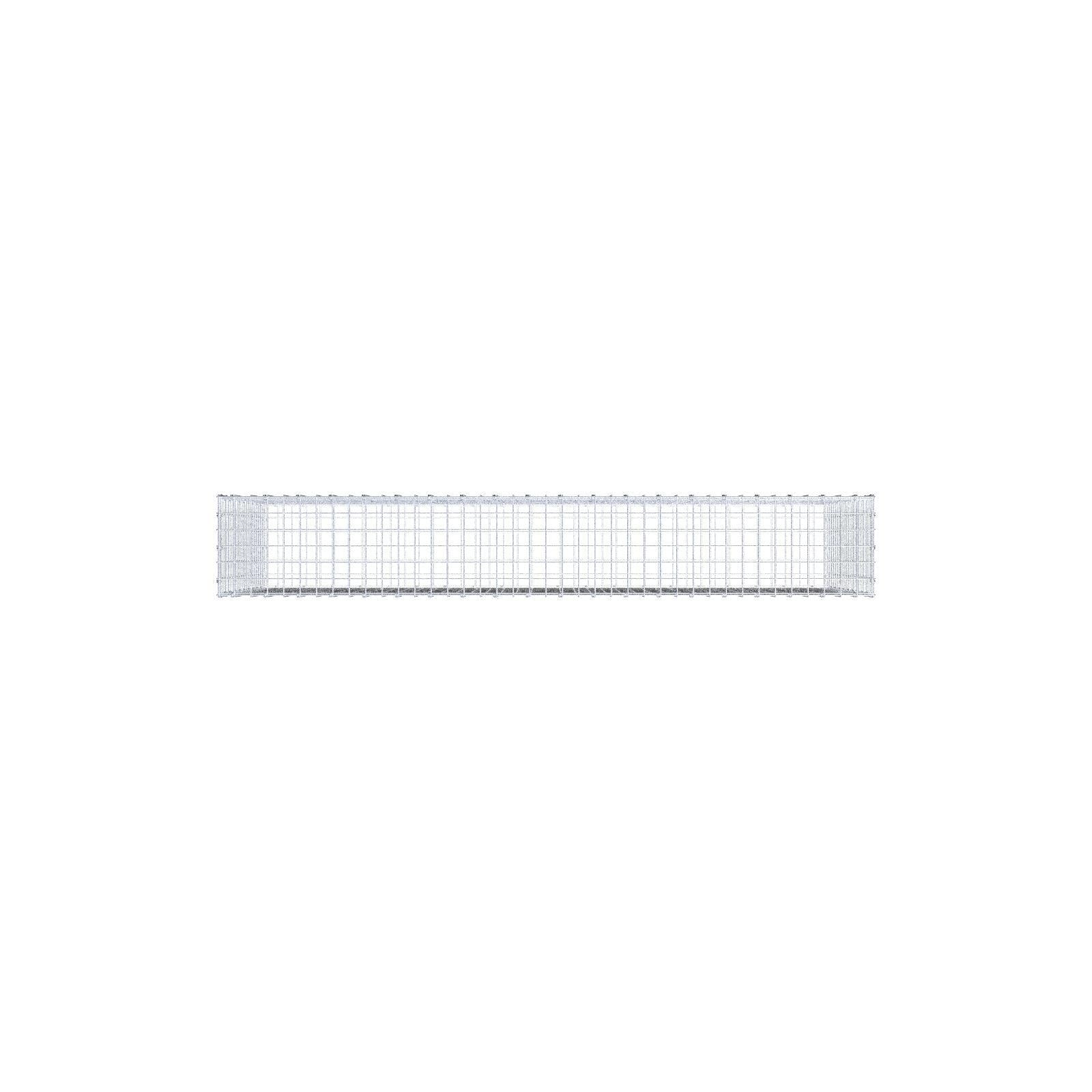Gabbione 200 cm x 100 cm x 30 cm (L x H x P), maglia 5 x 5 cm, anello a spirale