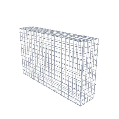 Gabion 100 cm x 60 cm x 20 cm (L x H x D), mesh size 5 x 5 cm, spiral ring