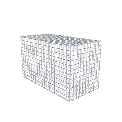 Gabion 100 cm x 60 cm x 50 cm (L x H x P), mailles 5 x 5 cm, anneau en spirale