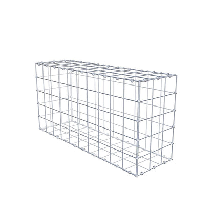 Gabion 100 cm x 50 cm x 30 cm (L x H x P), mailles 10 x 10 cm, anneau en spirale