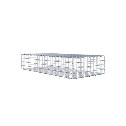 Gabione 100 cm x 20 cm x 50 cm (L x H x T), Maschenweite 5 cm x 5 cm, C-Ring