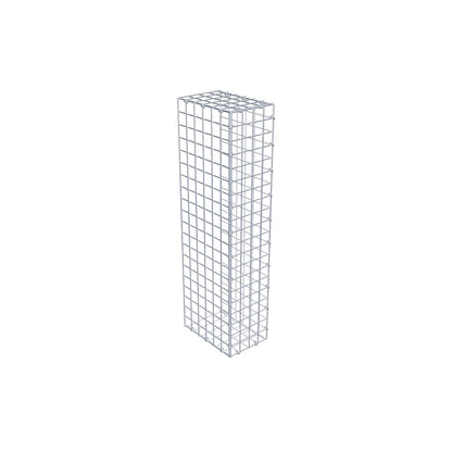 Extra gabion typ 2 100 cm x 30 cm x 20 cm (L x H x D), maskstorlek 5 cm x 5 cm, C-ring