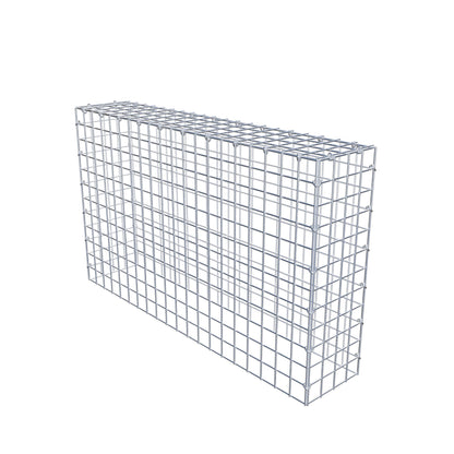 Extra gabion typ 3 100 cm x 60 cm x 20 cm (L x H x D), maskstorlek 5 cm x 5 cm, C-ring
