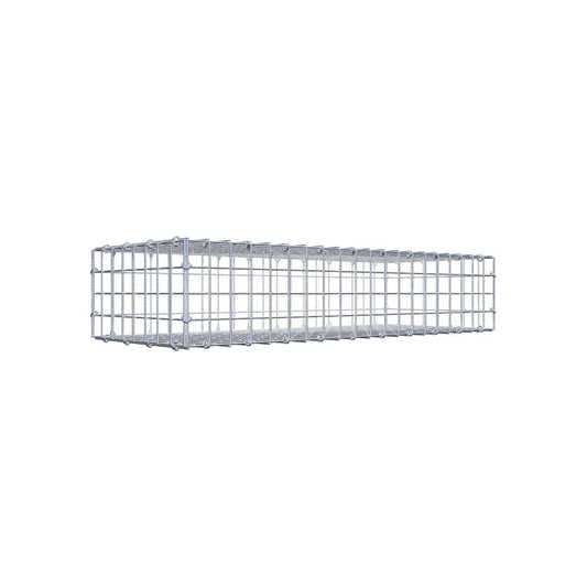 Gabione 05x05 100x020x040 Typ1 C-Ring