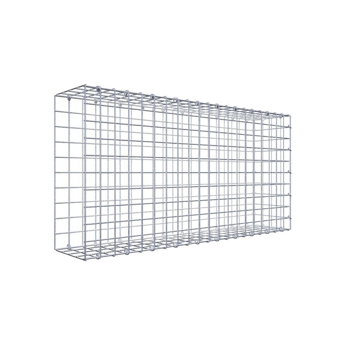 Gabione 05x05 100x050x020 Typ2 C-Ring