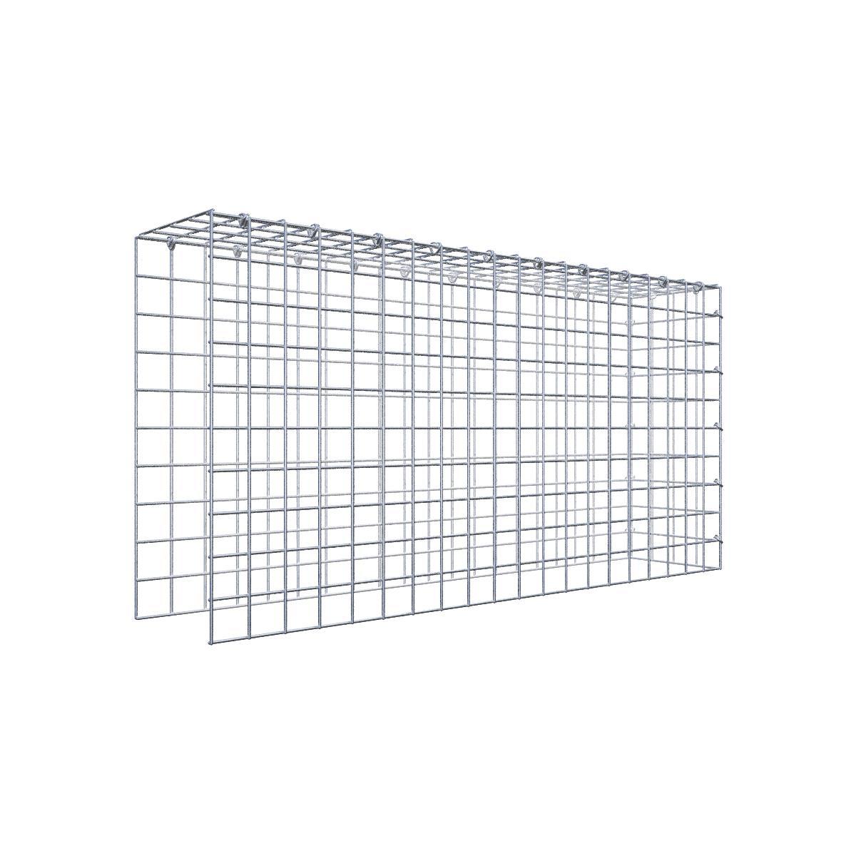 Gabione 05x05 100x050x020 Typ4 C-Ring