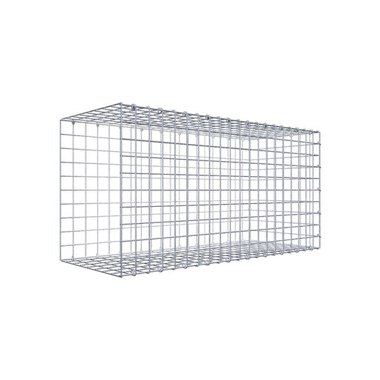 Gabione 05x05 100x050x040 Typ2 C-Ring