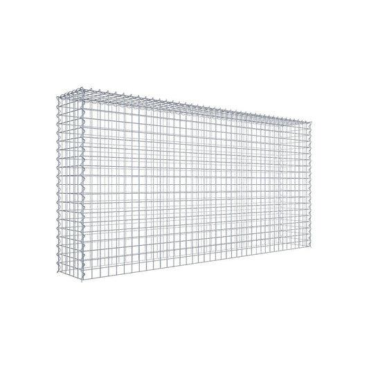 Gabione 05x05 200x100x030 Typ3 Spiral
