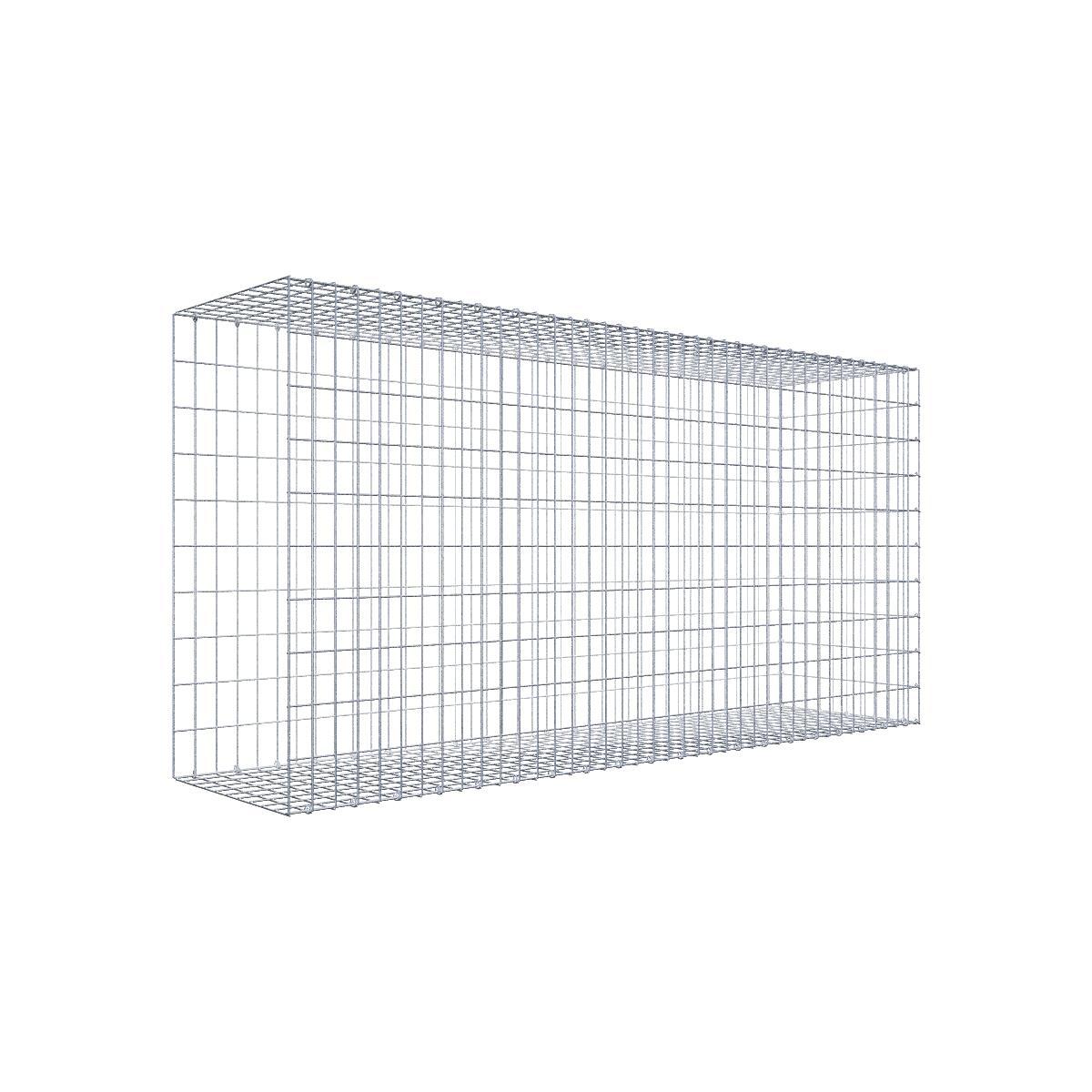 Gabione 05x10 200x100x050 Typ2 C-Ring