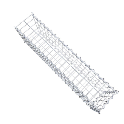 Grown-on gabion type 2 100 cm x 30 cm x 20 cm (L x H x D), mesh size 5 cm x 10 cm, spiral