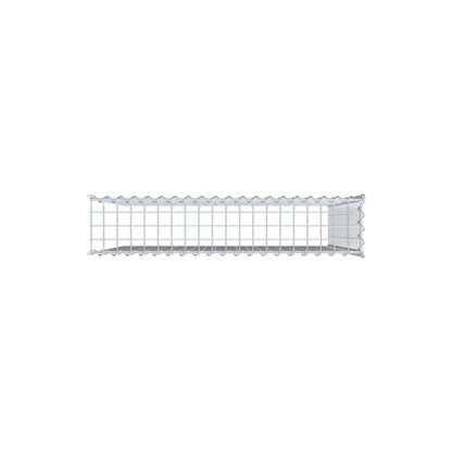 Opvokset gabion type 4 100 cm x 100 cm x 20 cm (L x H x D), maskestørrelse 5 cm x 5 cm, spiral