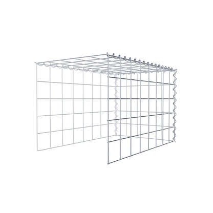 Opvokset gabion type 4 80 cm x 50 cm x 50 cm (L x H x D), maskestørrelse 10 cm x 10 cm, spiral