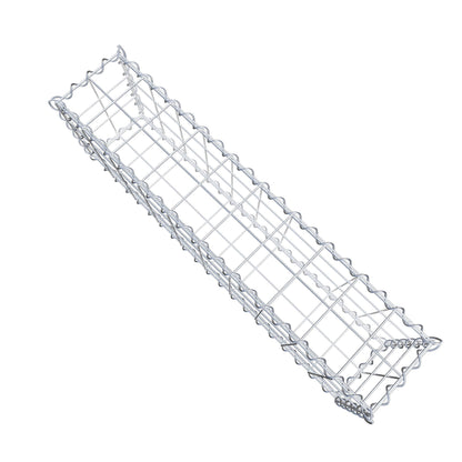 Gabion 100 cm x 30 cm x 20 cm (L x H x P), mailles 10 cm x 10 cm, spirale