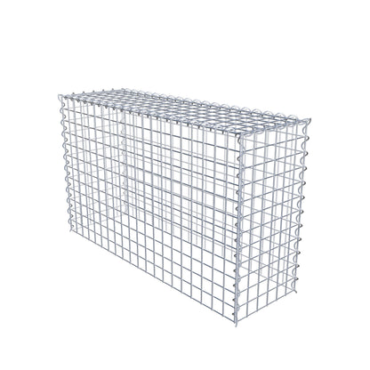 Påväxt gabion typ 3 100 cm x 60 cm x 30 cm (L x H x D), maskstorlek 5 cm x 5 cm, spiral