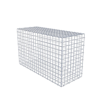Gabbione 100 cm x 60 cm x 40 cm (L x H x P), maglia 5 x 5 cm, anello a spirale