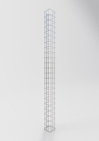 Colonna di gabbioni quadrata 17 cm x 17 cm, 230 cm di altezza, MW 5 cm x 10 cm