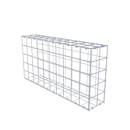 Type 2 oplegkorf 100 cm x 50 cm x 20 cm (L x H x D), maaswijdte 10 cm x 10 cm, C-ring