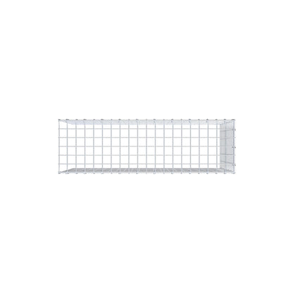Anbaugabione Typ 4 100 cm x 60 cm x 30 cm (L x H x T), Maschenweite 5 cm x 5 cm, C-Ring