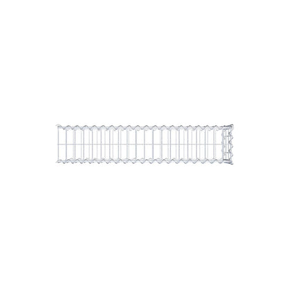 Grown-on gabion type 2 100 cm x 30 cm x 20 cm (L x H x D), mesh size 5 cm x 10 cm, spiral