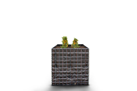 Rechthoekig verhoogd bed zonder stenen - Lengte: 100 cm - Hoogte: 100 cm - Diepte: 100 cm - Maaswijdte: 10 x 10 cm