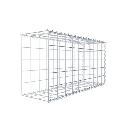 Grown-on gabion type 2 100 cm x 50 cm x 30 cm (L x H x D), mesh size 10 cm x 10 cm, spiral